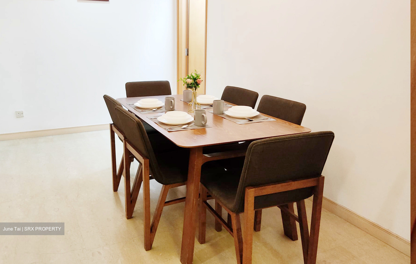 Thomson Euro-asia (D11), Condominium #527371471